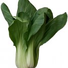 FRESH PAK CHOY BUNCH