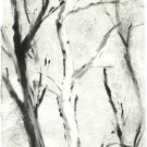 White Tree Monotype