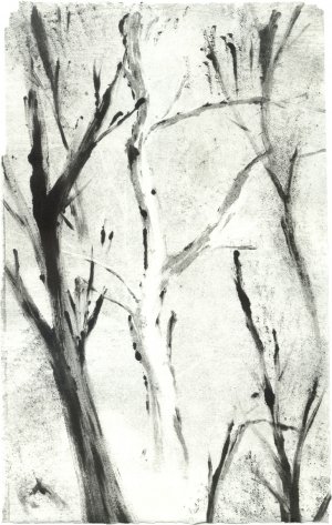 White Tree Monotype