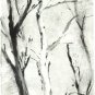 White Tree Monotype