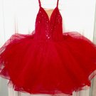 Curtain Call RED TUTU DRESS COSTUME