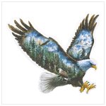 38962 Soaring Eagle Scenic Plaque