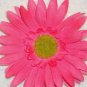 Gerber Daisy Bows