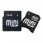 1GB Mini Secure Digital (miniSD) Memory Card