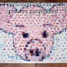 Amazng Weight Loss Watcher Diet Food fridge PIG Montage limited signed coa 1-25