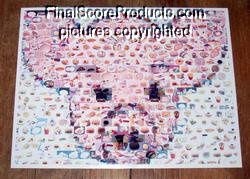 Amazng Weight Loss Watcher Diet Food fridge PIG Montage limited signed coa 1-25