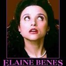 Framed Seinfeld Elaine AKA Motivational Type Poster