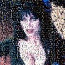Amazing ELVIRA Mistress of the Dark MOVIE Montage limited signed coa 1-25