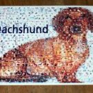 Amazing Dachshund Weener Weiner Dog Montage w/COA