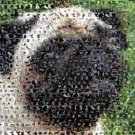 Amazing Pug Dog Montage Limited Edition art print COA