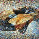 Amazing Speed RACER X Shooting Star car scene montage