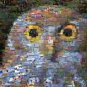 OWL Wild Animals Montage limited edition art print COA