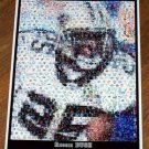 Amazing New Orleans Saints Reggie Bush Montage. 1 of 25