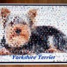 Amazing Yorkshire Terrier Dog Montage Limited Art Print