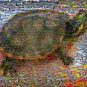 Amazing Sea or land Turtle Wild Animals Montage print