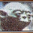 Amazing YODA Star Wars Montage 1 of only 25 EVER!!