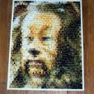 Amazng Wizard of Oz the Cowardly Lion montage #ed to 24