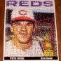 Amazing Cincinnati Reds Pete Rose Rookie Card Montage