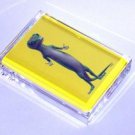 Geico Gecko lizard Acrylic Executive Desk Paperweight