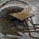 Amazing Michigan Wolverines Football Montage LIMITED ED