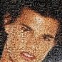 Amazng The Twilight Saga Team Jacob real wolves Montage