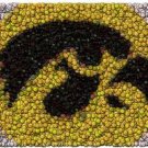 Iowa Hawkeyes Best Bar Game Dorm Room Sign framed w/COA