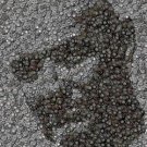 ABC LOST TV Show Amazng John Locke Dharma button mosaic