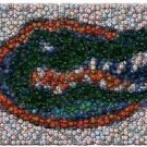 Florida Gators Best Bar Game Dorm Room Sign framed wCOA