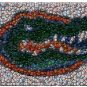 Florida Gators Best Bar Game Dorm Room Sign framed wCOA