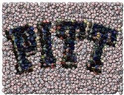 Pitt Panthers Best Bar Game Dorm Room Sign framed w/COA