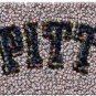 Pitt Panthers Best Bar Game Dorm Room Sign framed w/COA