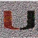Miami Hurricanes Best Bar Game Dorm Room Sign framed