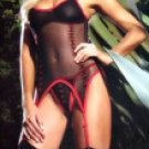 3 Piece Lycra Sheer Cami-Garter Set with G-String & Stockings