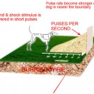 INground electric dog fence system BIG dog training