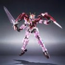 Gundam00 : The Robot Spirits  (Tamashii Nation 2009 Limited Edition)