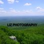 A hill top sea of green 4  by 6 inch print /Sam's Point in New York