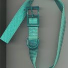 Teal one inch wide dog collar with metal buckle for size 16-20 inch neck