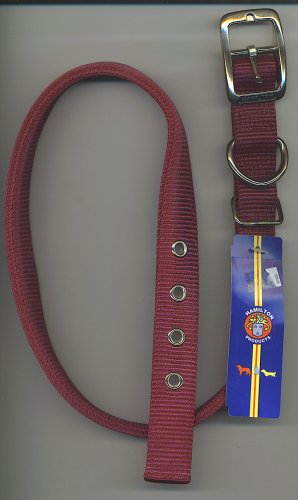 Wine Purple one inch wide Hamilton dog collar with metal buckle for size 25-28 inch neck