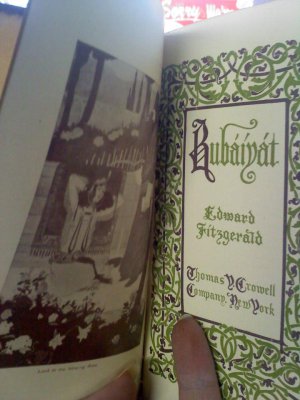 The Rubaiyat of Omar Khayyam translated by Edward Fitzgerald - Thomas Crowell NY antique book