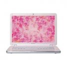 Sony VAIO NR498E/P - Core 2 Duo 2 GHz - 15.4 " - 3 GB Ram - 250 GB HDD