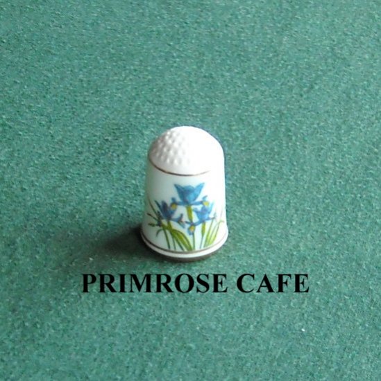 Iris Franklin Flowers Of Nederland Holland Porcelain Thimble