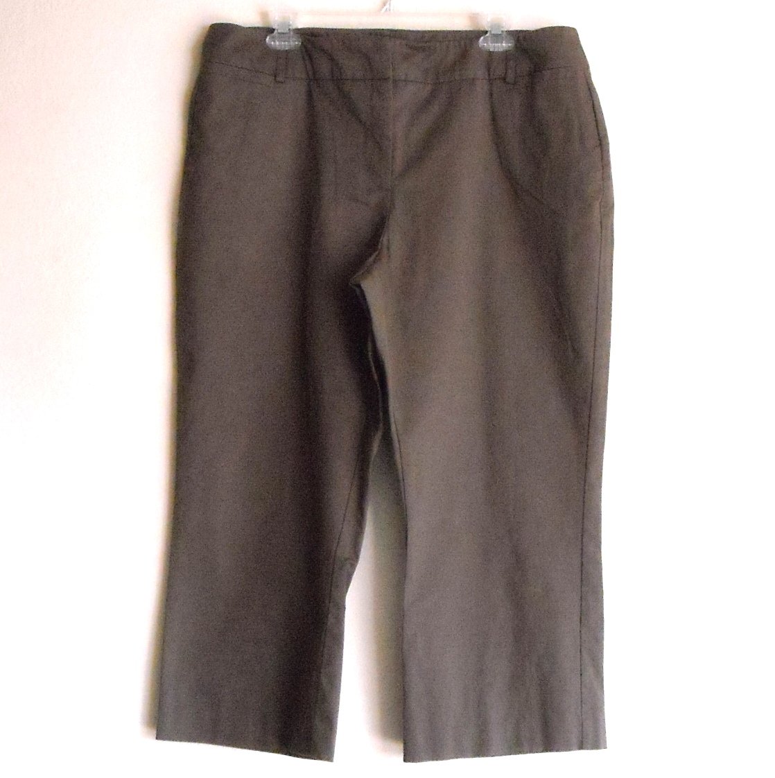 Pantology womens brown pants size 16