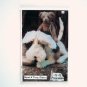 Country In The City Wyatt and Dusty Bottoms Doll Crafts Pattern No 133