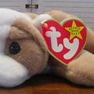 Wrinkles the dog TY beanie baby