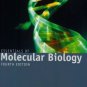 Essentials of Molecular Biology 4th by George M. Malacinski 076374011X