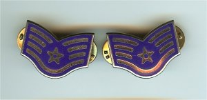 US Air Force USAF Staff Sergeant Chevron Metal Rank Insignia Pair Vietnam Era