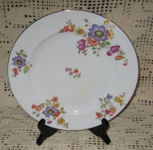 Springer & Co Epiag Czechoslovakia Dinner Plate Multi-color Floral Gold Trim