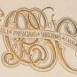 Original 1896 College of Physicians & Surgeons of Chicago Graduation Program