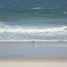 Seaside Shoreline 02
