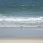 Seaside Shoreline 02